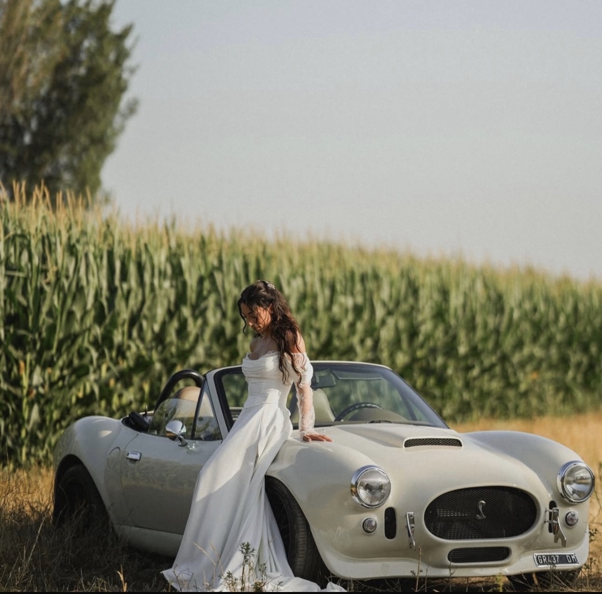 A.C. Shelby Cobra
